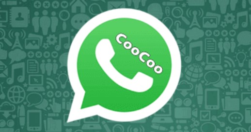 Apakah CooCoo WhatsApp Itu